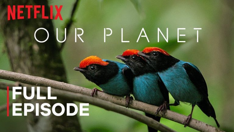Our Planet | One Planet | FULL EPISODE