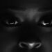 Tierra Whack – WAX PAPER (Official Music Video)