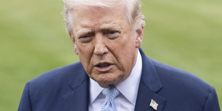 Donald Trump Lunges At Female Reporter In Press Conference Confrontation – See The Video – Perez Hilton Donald Trump Lunges At Female Reporter In Press Conference Confrontation – See The Video – Perez Hilton