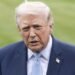 Donald Trump Lunges At Female Reporter In Press Conference Confrontation – See The Video – Perez Hilton